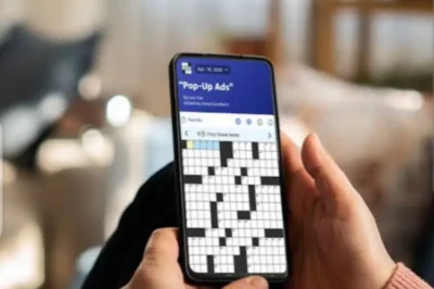 Seems Like Bad News Crossword Clue Answer