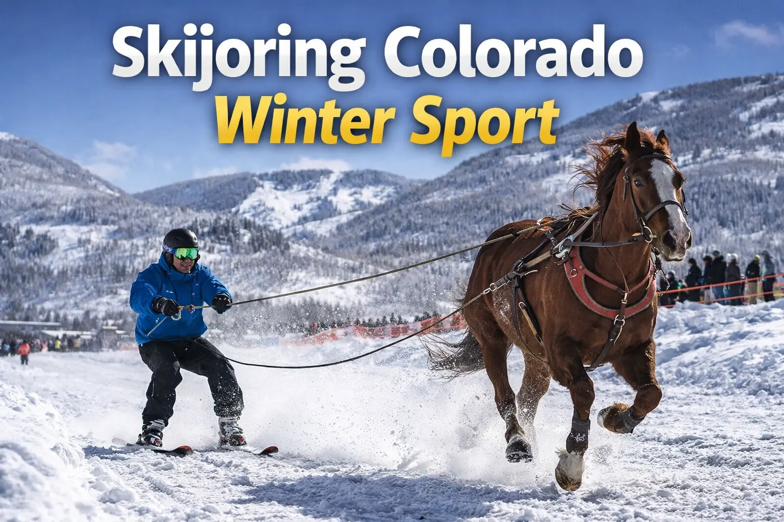Skijoring Colorado winter sport with skier pulled by horse on snowy trails